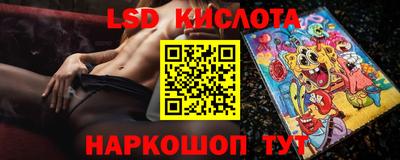 стаф Вязьма