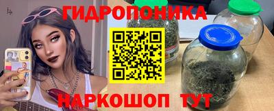 стафф Вышний Волочёк