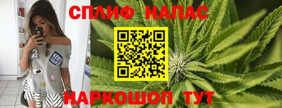 стаф Вязьма