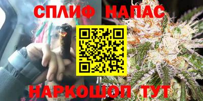 стаф Вязьма