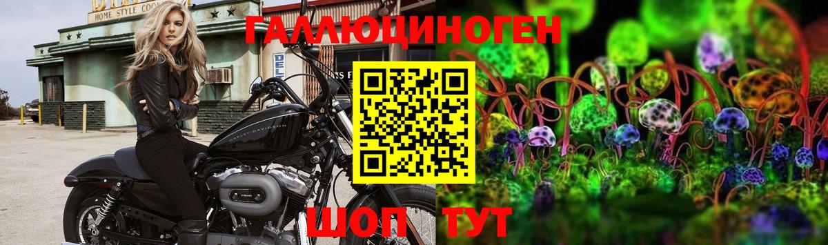 Псилоцибиновые грибы Magic Shrooms  Псилоцибиновые грибы прущие грибы  Вход с VPN  Асбест 